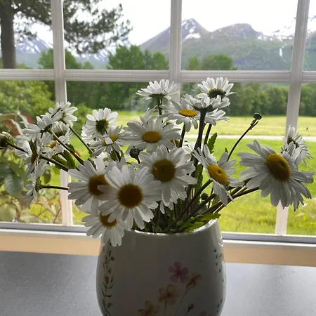 Heinali Appartement *